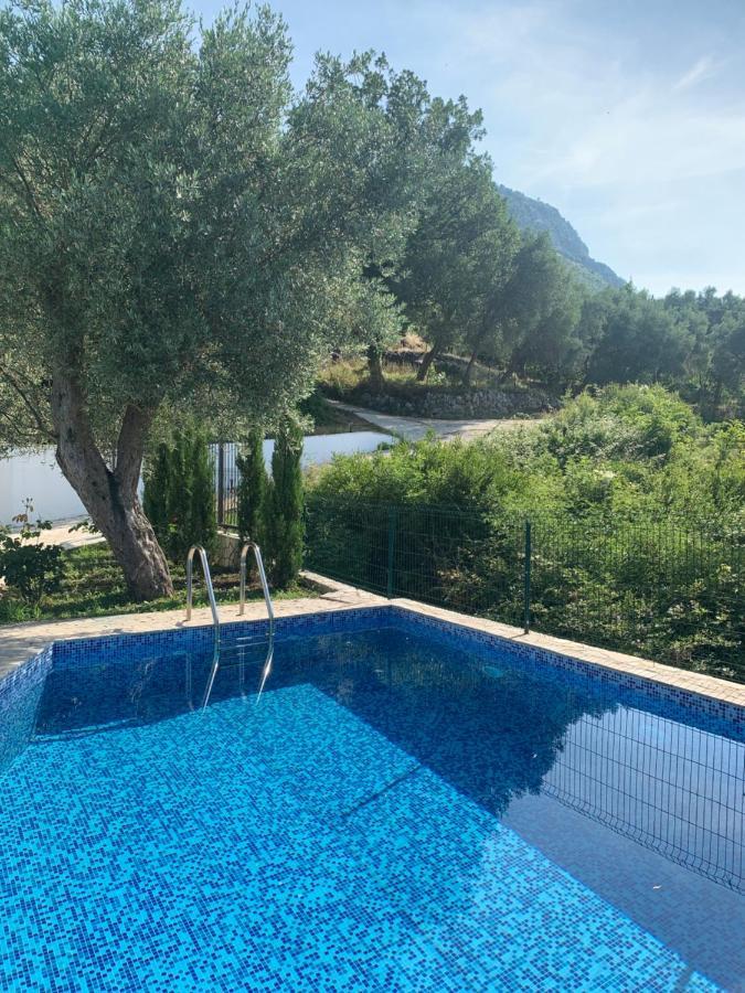 Green Villa In Olives Bar Exterior foto