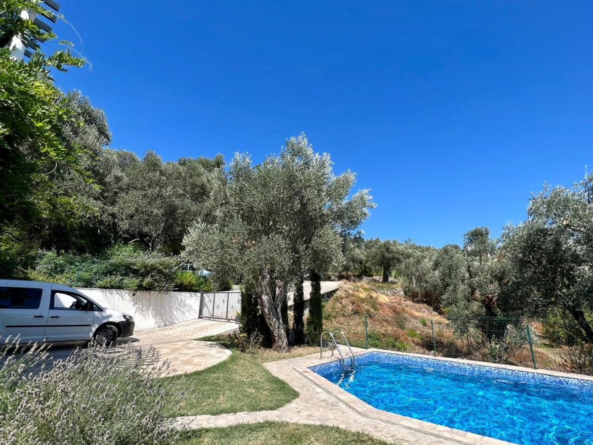 Green Villa In Olives Bar Exterior foto